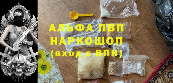 сатива Алзамай