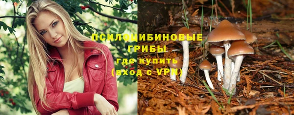 сатива Алзамай