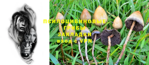 2c-b Алексеевка