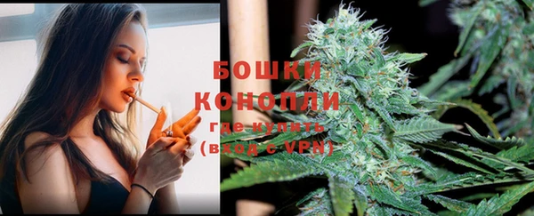 стаф Ладушкин