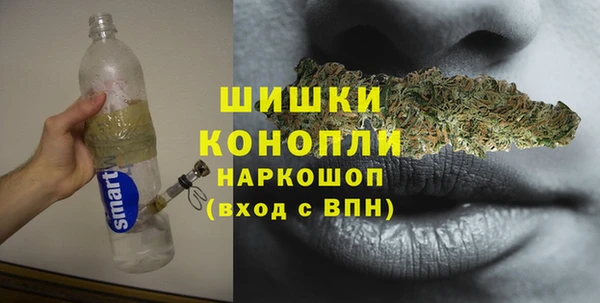 сатива Алзамай