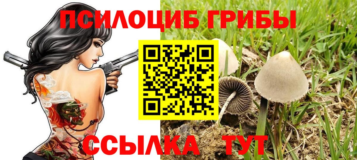 Псилоцибиновые грибы Psilocybe  Вход с VPN  как найти закладки  Волжский 